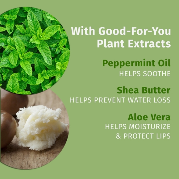 HEMPZ Pink Peppermint Meringue Gift Set Body Moisturizer + Lip Balm - Picture 2 of 5